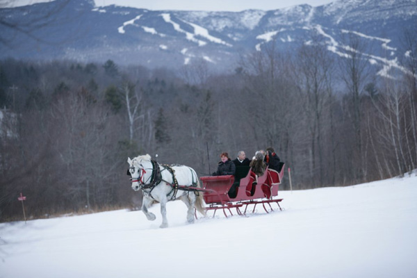 gentle giants horse drawn sleigh